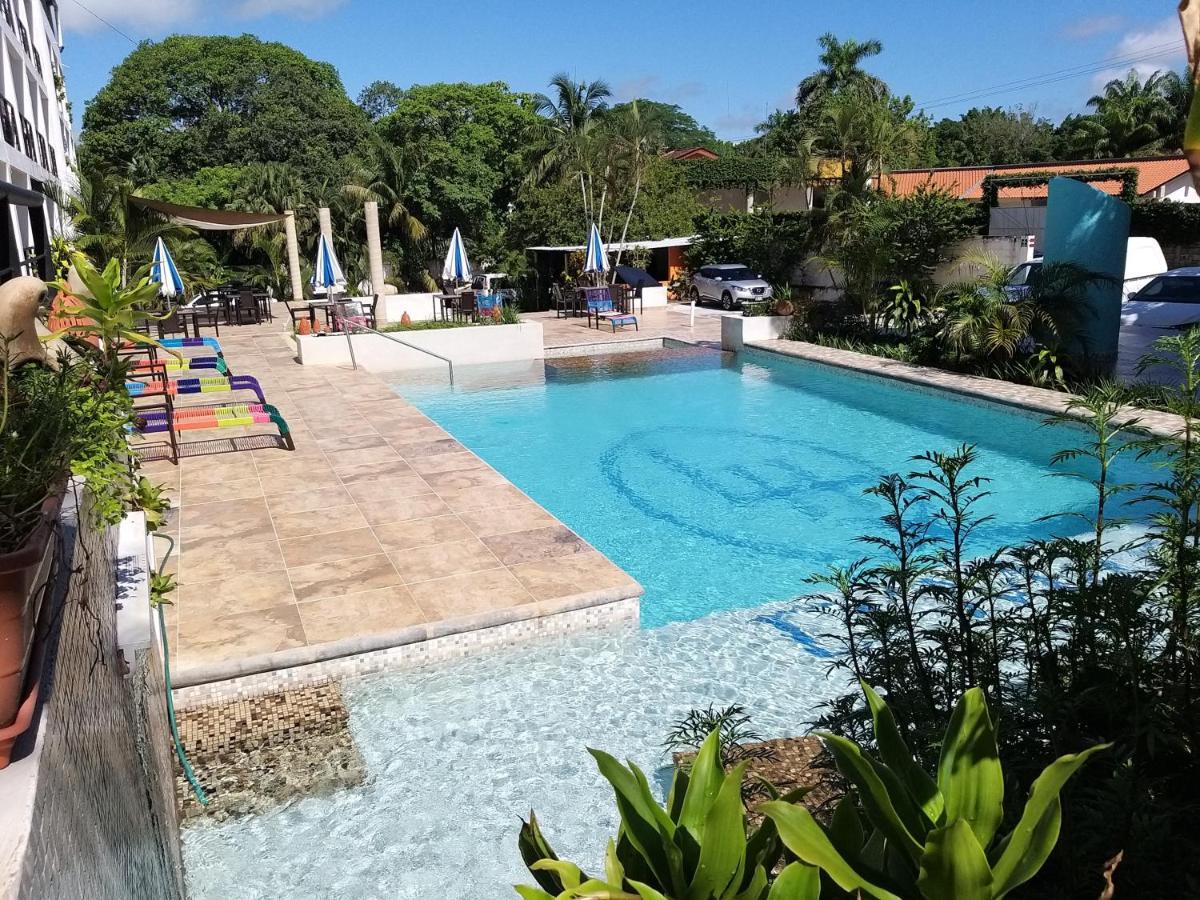 Hotel D Marco Exxpres Palenque Extérieur photo
